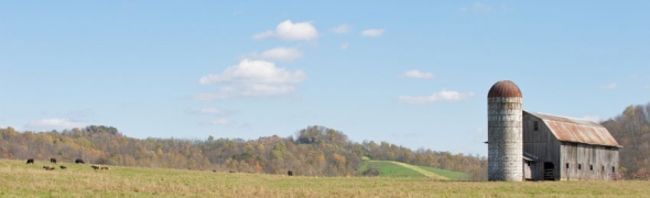 Eating Local in the Lunchroom