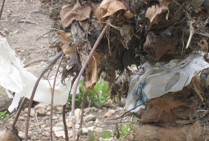 Time is now to trash the plastic bag