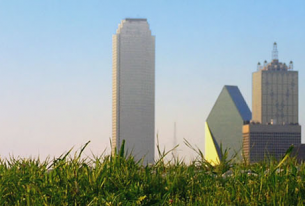Earth Day Dallas Soars