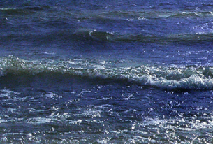 Corporations Rule the Waves